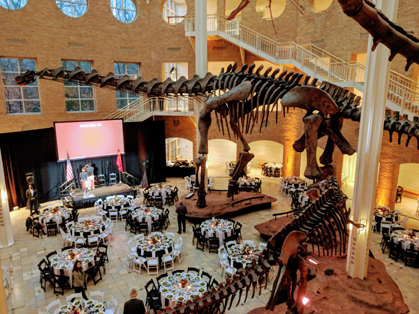 Atlanta Fernbank Museum Interior