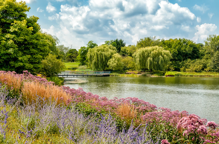 Chicago Botanical Gardens 